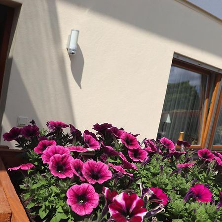Ferienwohnung Pimer Ranschbach Exterior foto